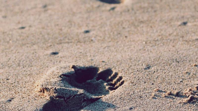 Bernardo Silva chính th?c th?ng báo r?i Manchester City: Barca là ?u tiên hàng ??u