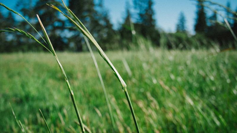 Vi?t Nam vs Malaysia 31/3: Quy?t tam ph?c thù t?i Ninh Bình